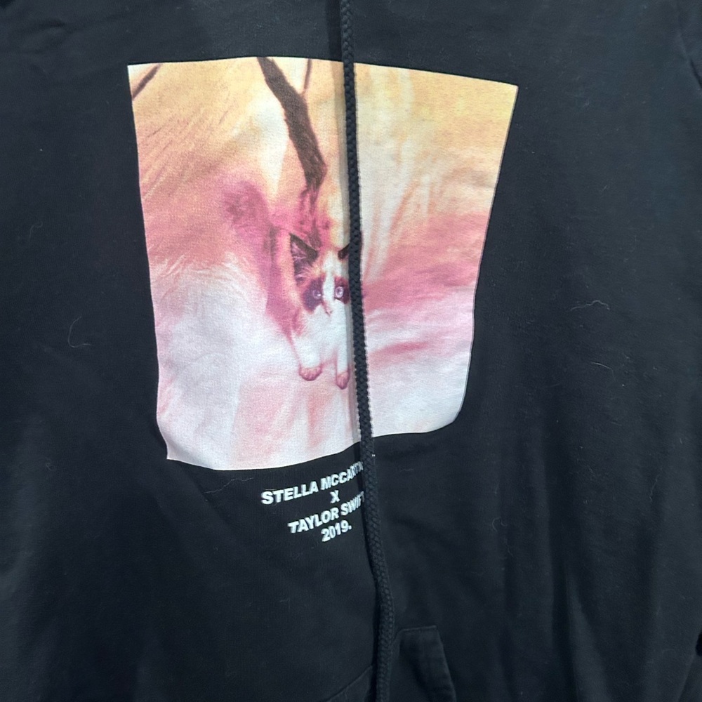 Taylor swift cat hoodie
